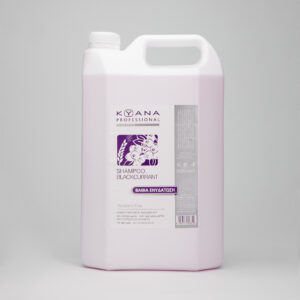 salon shampoo black currant